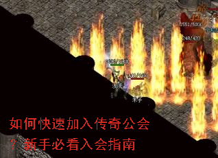 ��ο��ټ��봫�湫�᣿���ֱؿ����ָ��