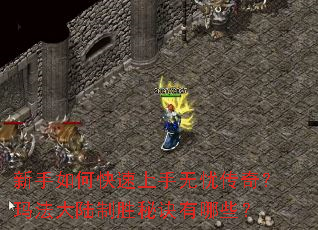 ������ο����������Ǵ��棿�귨��½��ʤ�ؾ�����Щ��