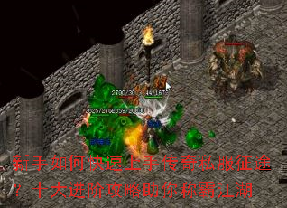 ������ο������ִ���˽����;��ʮ����׹�������ưԽ���