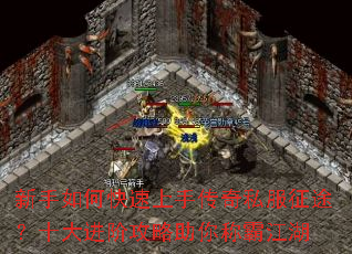 ������ο������ִ���˽����;��ʮ����׹�������ưԽ���