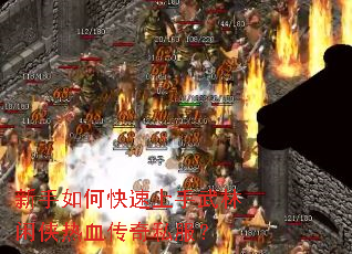 ������ο�����������������Ѫ����˽����