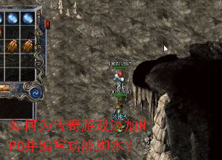 ���Ϊ������Ϸ����NPC����д���ܽű���