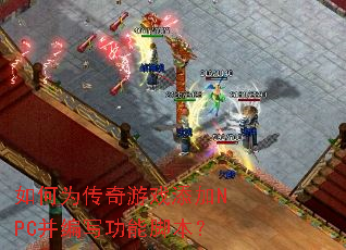 ���Ϊ������Ϸ����NPC����д���ܽű���