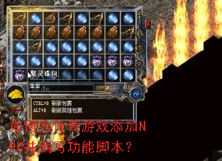 ���Ϊ������Ϸ����NPC����д���ܽű���