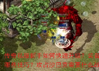 ����˽��������ο���������װ����ȡ����Щ���ɣ���ռɳ�Ϳ���Ҫʲôս�ԣ�