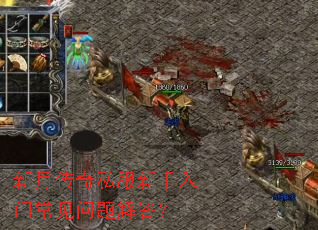 ���´���˽���������ų���������