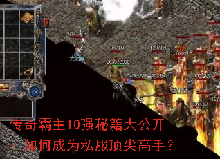 �������10ǿ�ؼ��󹫿�����γ�Ϊ˽��������֣�