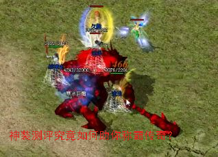 ��װ���������������ưԴ��棿