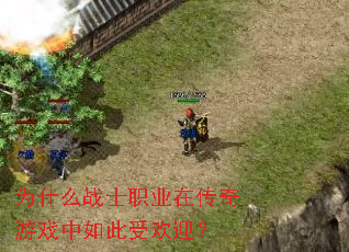 Ϊʲôսʿְҵ�ڴ�����Ϸ������ܻ�ӭ��