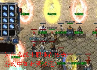 Ϊʲôսʿְҵ�ڴ�����Ϸ������ܻ�ӭ��