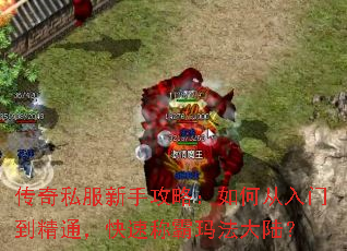 ����˽�����ֹ��ԣ���δ����ŵ���ͨ�����ٳư��귨��½��