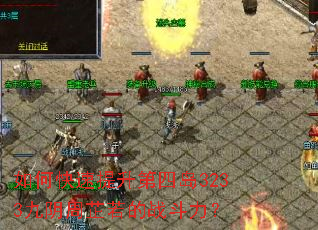 ��ο����������ĵ�3233������������ս������