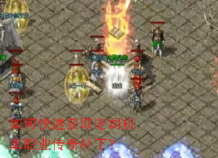 ��ο��ٻ�ȡ��˾����ְҵ���油����