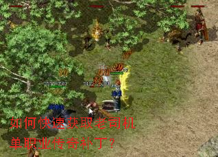 ��ο��ٻ�ȡ��˾����ְҵ���油����