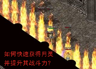 ��ο��ٻ�����鲢������ս������