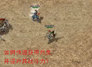 ��ο��ٻ�����鲢������ս������