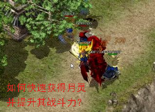 ��ο��ٻ�����鲢������ս������