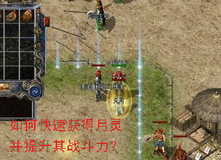 ��ο��ٻ�����鲢������ս������