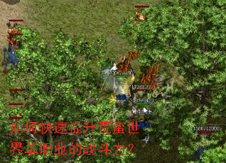 ��ο��������������絥ְҵ��ս������