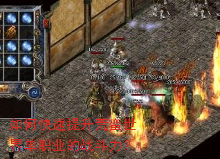 ��ο��������������絥ְҵ��ս������