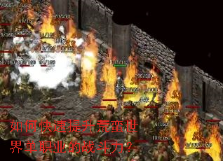 ��ο��������������絥ְҵ��ս������