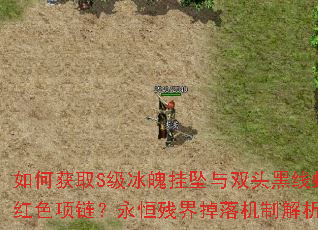 如何获取S级冰魄挂坠与双头黑线蛇红色项链?永恒残界掉落机制解析 如何获取S级冰魄挂坠与双头黑线蛇红色项链?永恒残界掉落机制解析