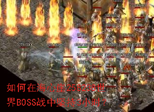 ����ں�����258238����BOSSս�м��3Сʱ��