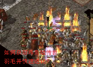 ��λ�ȡ����洫����ë�����ٽ�����