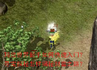 玛法世界新手如何快速入门?寻宝探秘怎样揭秘财富之路? 玛法世界新手如何快速入门?寻宝探秘怎样揭秘财富之路?