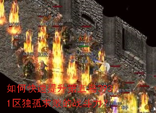 如何快速提升第五岛3931区独孤求败的战斗力? 如何快速提升第五岛3931区独孤求败的战斗力?
