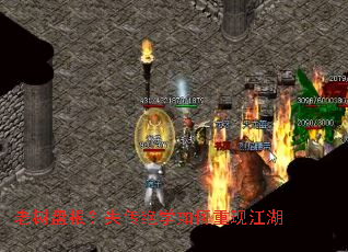 老树盘根?失传绝学如何重现江湖 老树盘根?失传绝学如何重现江湖