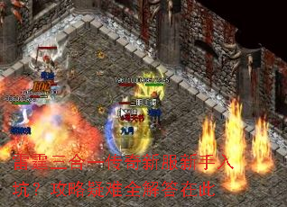 雷霆三合一传奇新服新手入坑?攻略疑难全解答在此 雷霆三合一传奇新服新手入坑?攻略疑难全解答在此