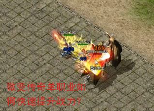 ΢�䴫�浥ְҵ��ο�������ս����