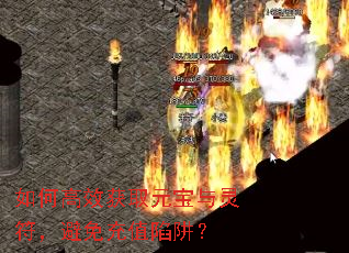 ��θ�Ч��ȡԪ��������������ֵ���壿