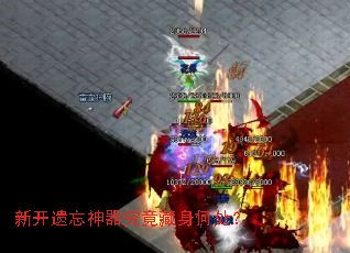 新开遗忘神器究竟藏身何处? 新开遗忘神器究竟藏身何处?
