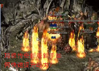 ���Ŵ����·�������ο�������ս����
