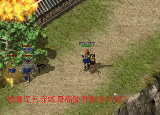 修魔纪元宠物最高能升到多少级? 修魔纪元宠物最高能升到多少级?