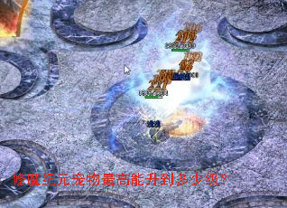 修魔纪元宠物最高能升到多少级? 修魔纪元宠物最高能升到多少级?