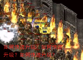 ��ο�����������ο�����������ο���������