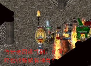 传奇老司机驾到:如何轻松收服稀有神兽? 传奇老司机驾到:如何轻松收服稀有神兽?