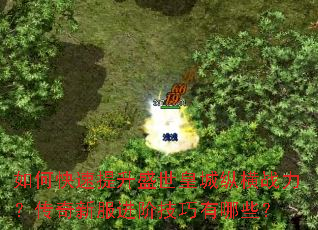 如何快速提升盛世皇城纵横战力?传奇新服进阶技巧有哪些? 如何快速提升盛世皇城纵横战力?传奇新服进阶技巧有哪些?