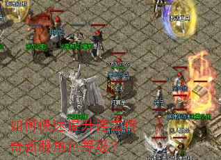 如何快速提升连击传奇新服角色等级? 如何快速提升连击传奇新服角色等级?