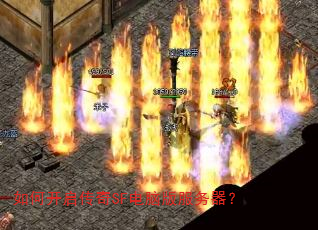 ��ο�������SF���԰��������