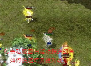 传奇私服回归活动赠送幻兽,如何快速培养提升战力? 传奇私服回归活动赠送幻兽,如何快速培养提升战力?