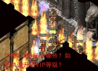 传奇VIP特权有哪些?如何快速升级VIP等级? 传奇VIP特权有哪些?如何快速升级VIP等级?