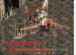 如何挑战暗殿BOSS?新手速通攻略全解析 如何挑战暗殿BOSS?新手速通攻略全解析
