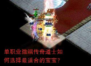 单职业微端传奇道士如何选择最适合的宝宝? 单职业微端传奇道士如何选择最适合的宝宝?