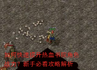 如何快速提升热血书院角色战力?新手必看攻略解析 如何快速提升热血书院角色战力?新手必看攻略解析