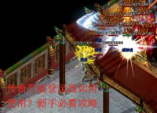 �������ܵ�¼�����ʹ�ã����ֱؿ�����