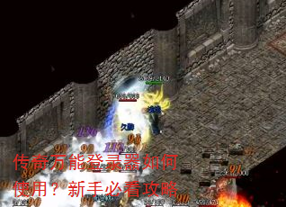 �������ܵ�¼�����ʹ�ã����ֱؿ�����